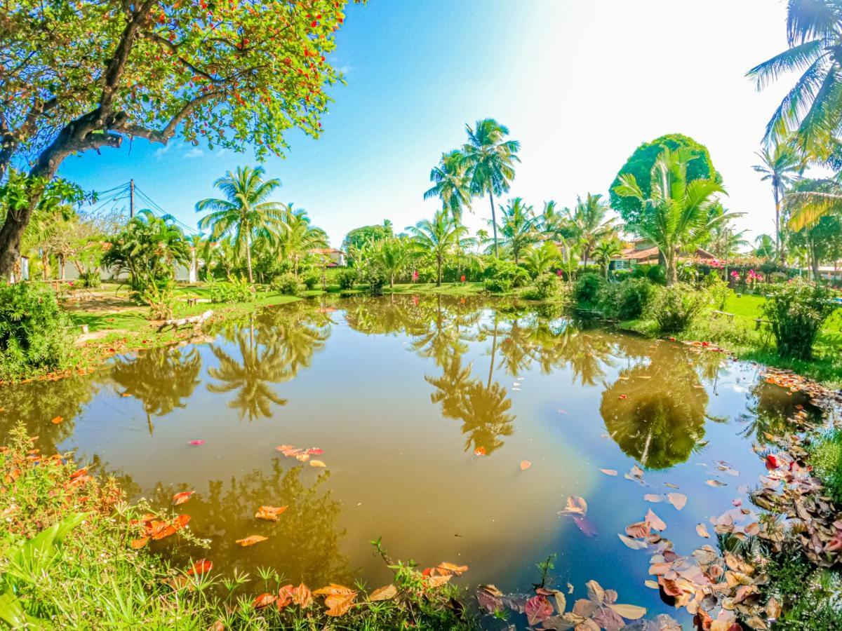 Alma Tropical Mini Resort Вера-Крус-ді-Ітапаракіа Екстер'єр фото